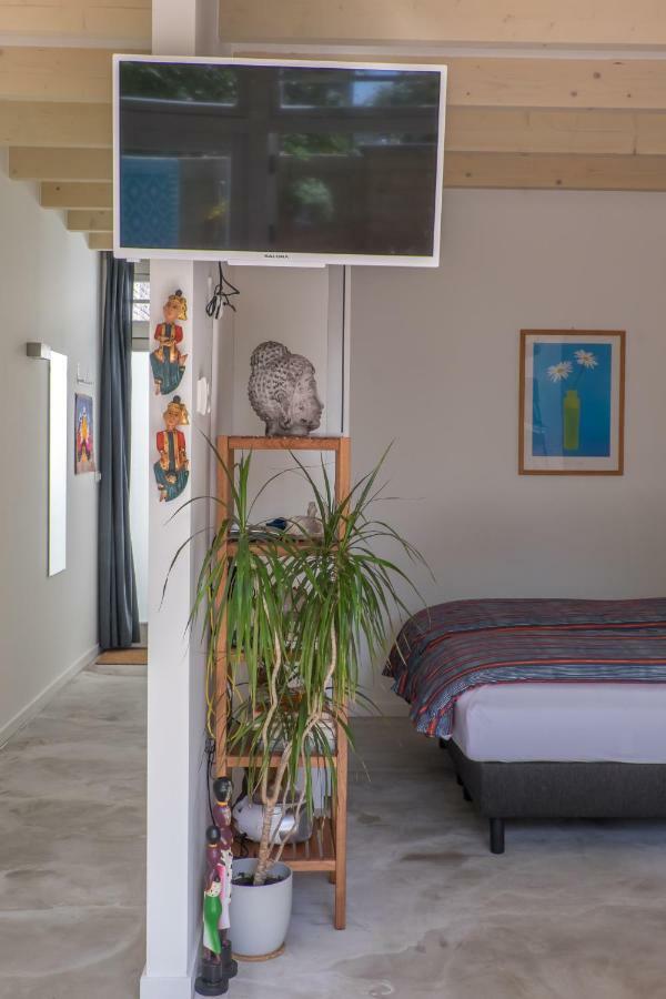 Studio South Beach With Garden And Free Parking Zandvoort Εξωτερικό φωτογραφία